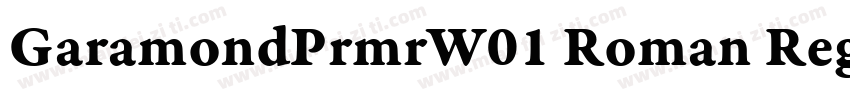 GaramondPrmrW01 Roman Regular字体转换